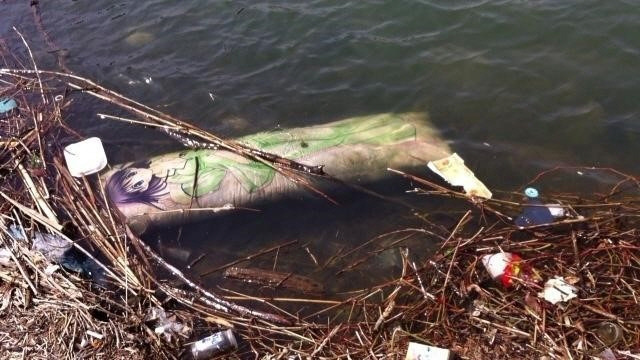 파일:최애캐의 최후.jpg