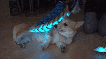 파일:쌍검의 현실.gif