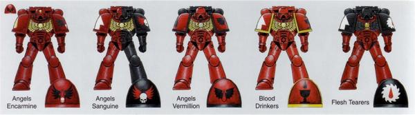 블러드 엔젤의 후계 챕터들이다.