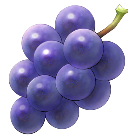 파일:Purple-Grapes-PNG.png
