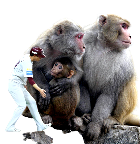 파일:키움 조재영 감독.png