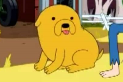 파일:제이크 개.jpg