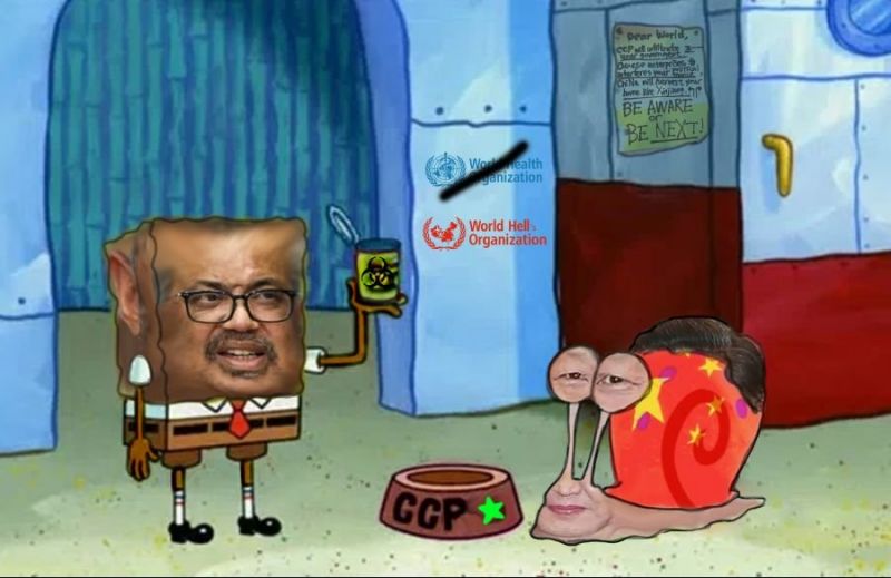 파일:흑펀지밥과 시진핑핑이.jpg