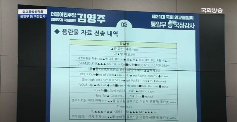 파일:더듬어강간당이 보는 야동.jpg