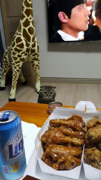 파일:Web 778375889 0d29717e.jpg