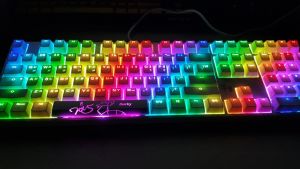 더키 양의해 1.JPG