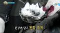 2026년 1월 9일 (금) 01:06 판의 섬네일