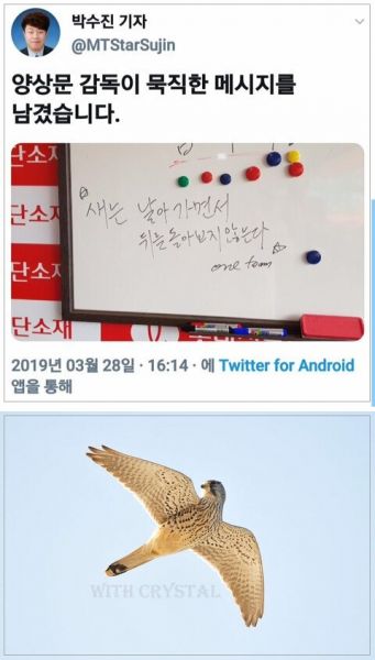 파일:양상문 명언.jpg