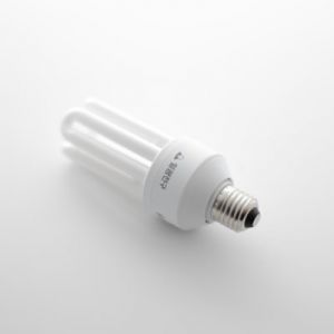 삼파장 전구.jpg