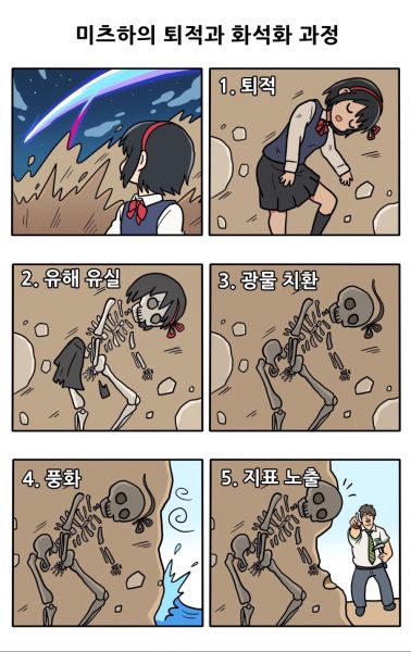 파일:미츠하 화석.jpeg