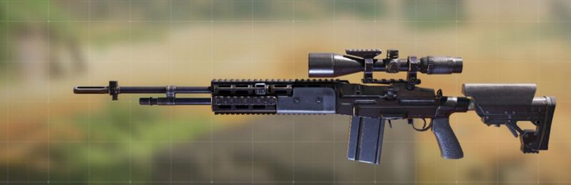 파일:CODM M21 .jpg