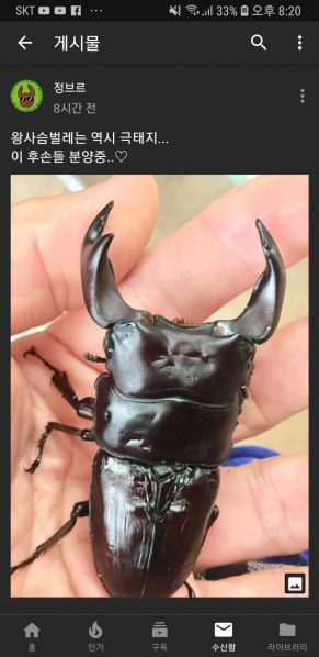 파일:극태빠 ㅈㅂㄹ.jpg