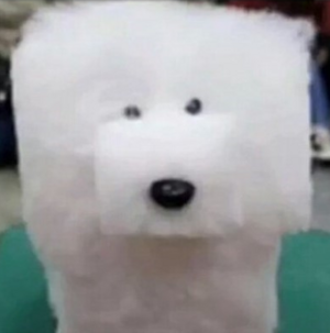 네모 멈뭄이.PNG