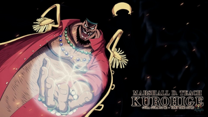 사황 마샬D티치.png