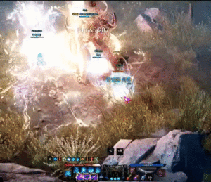 로아판 냐루.gif