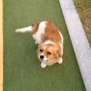 13258872 785888084881367 1394818733 n.jpg