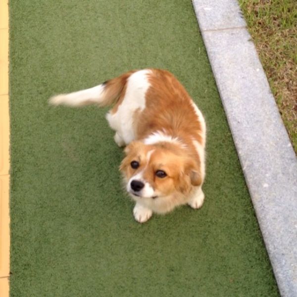 파일:13258872 785888084881367 1394818733 n.jpg