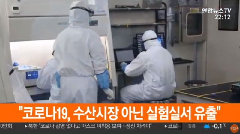 파일:우한 폐렴 실험실 발원지설 연합뉴스.jpg