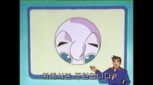 위에서 본 푸린.jpg