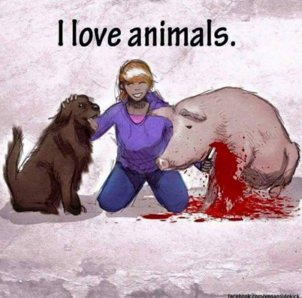 파일:FB IMG 1442916196694.jpg