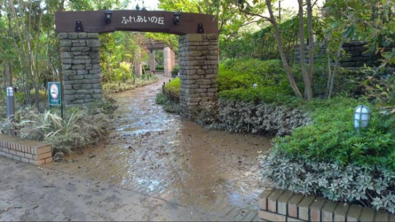 파일:'똥'판 5분 전-2.jpg