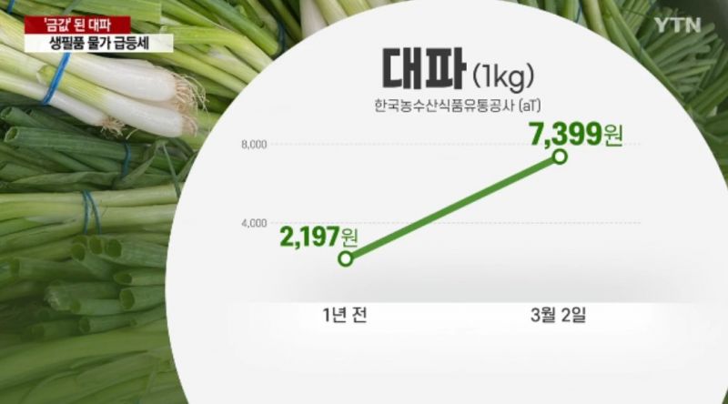 파일:미친 대파값.jpg