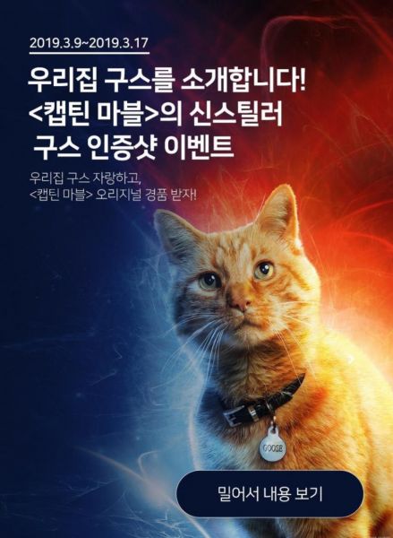 파일:우리집 구스 이벤트.jpg