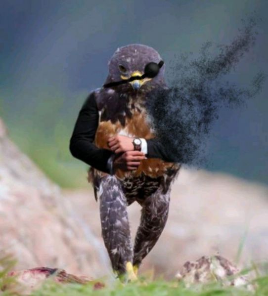 파일:한화 스르륵.jpg