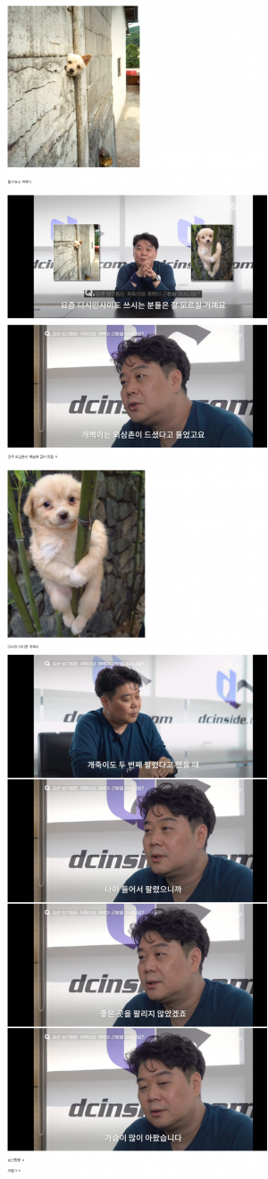 개벽이 개죽이 근황.png