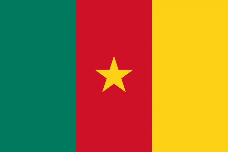 파일:카메룬 국기.png