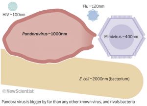 판도라 바이러스의 위엄.jpg