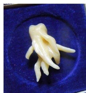 27751472 1942794102609676 4914425243162620294 n.jpg