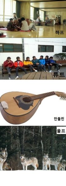 파일:마비노기 서버.jpg