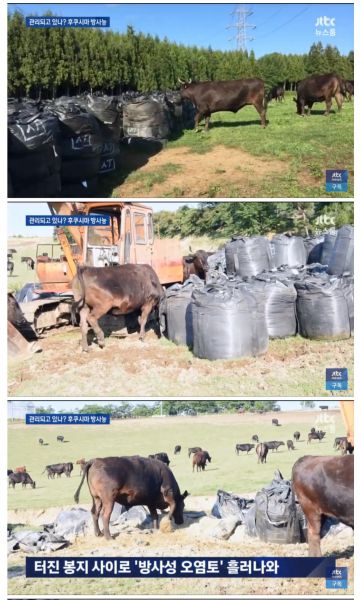 파일:후쿠시마 방사능 관리 수듄.jpg