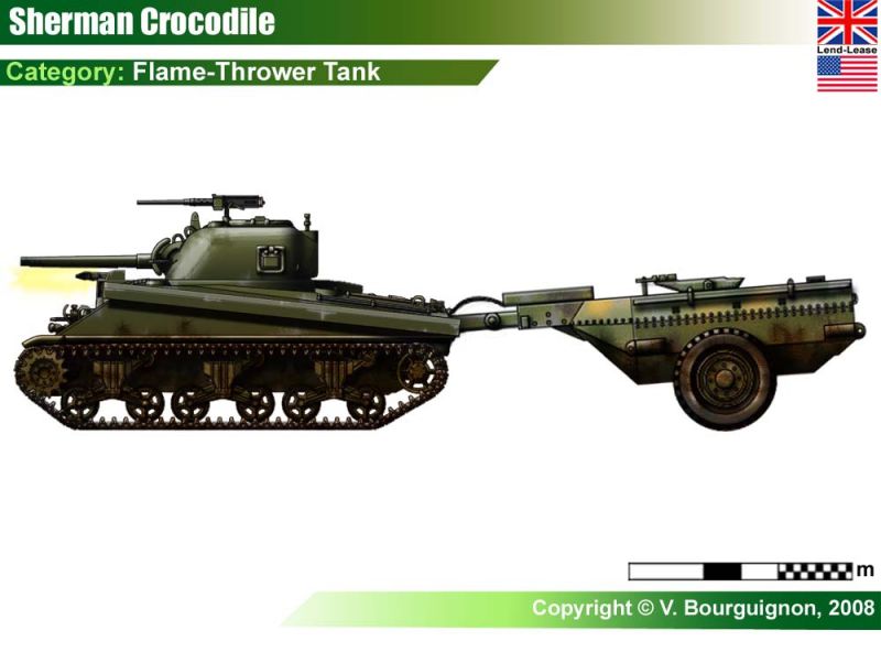 파일:셔먼 크로커다일.jpg