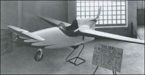 Beltrame colibri.jpg