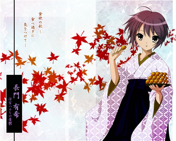 파일:나가토 유키 01.jpg