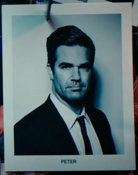 파일:피터 W. 링크드인.jpg