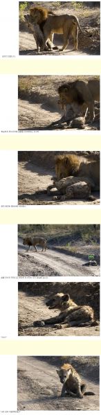 파일:3024588047 66f9719c.jpg