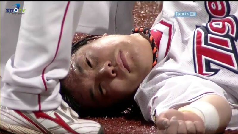 파일:나방 죽다.jpg