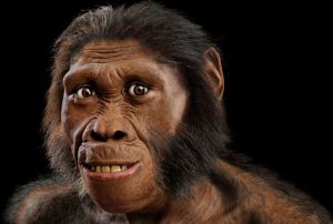 루시 복원도.jpg