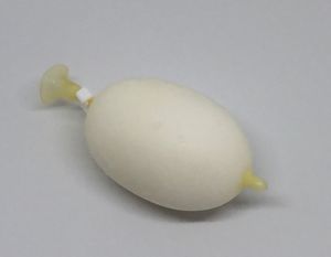 타마고 아이스.jpg