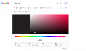 구글에서 검색한 헥스코드.png