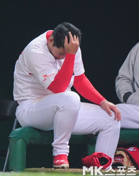 파일:0000382787 001 20170407214713962.jpg