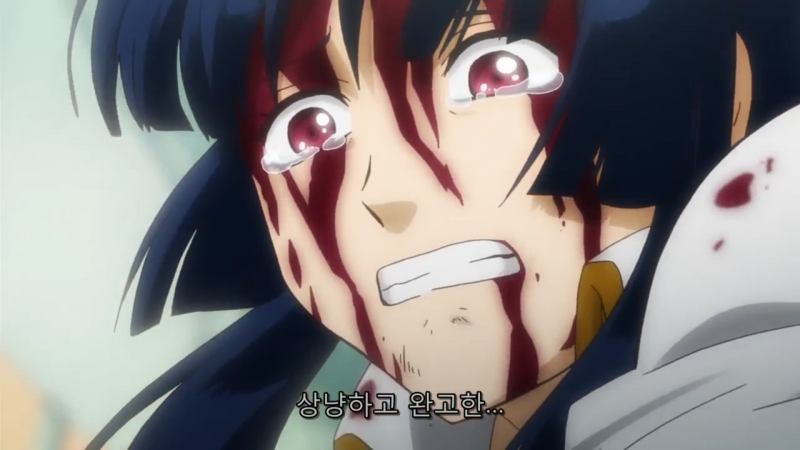 파일:노부메 1.png