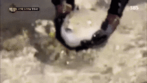 예나 선정이 딸이에요.gif