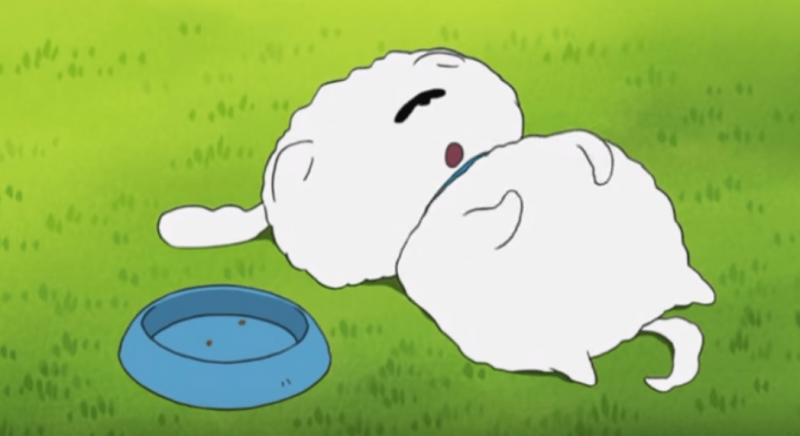 파일:20181219 081202 IMG 3693.PNG