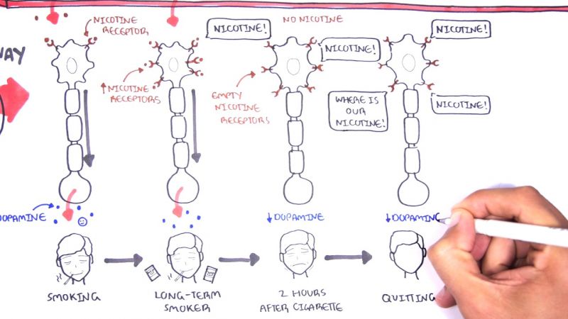 파일:니코틴 보상회로.jpg