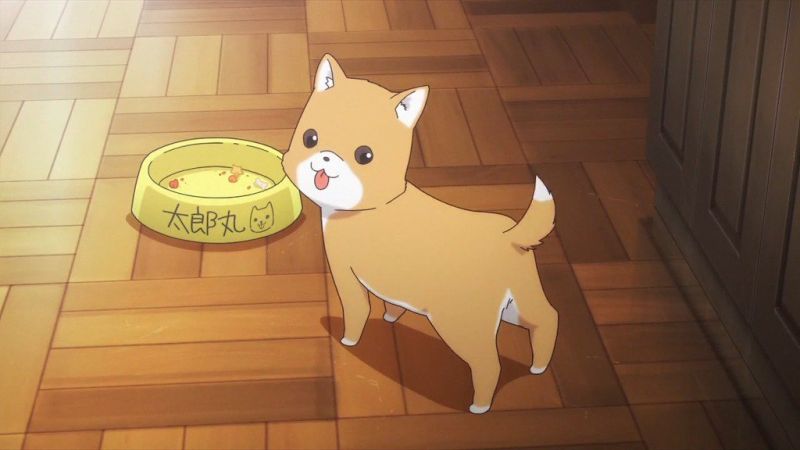 파일:애니판 타로마루.jpg