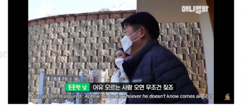 파일:동물농장 자막 근황.jpg